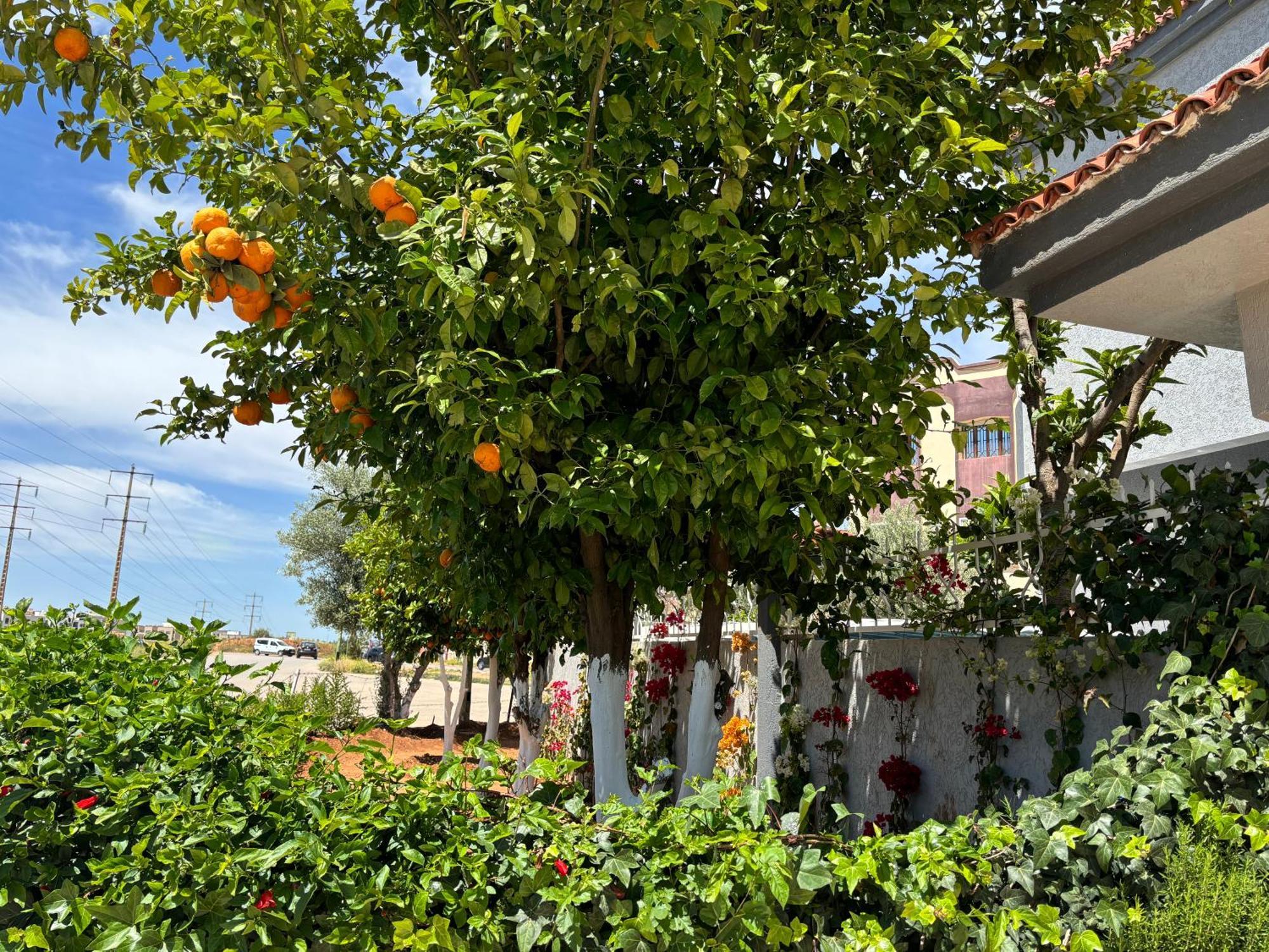 Dar El Kebira Meknès Exterior foto